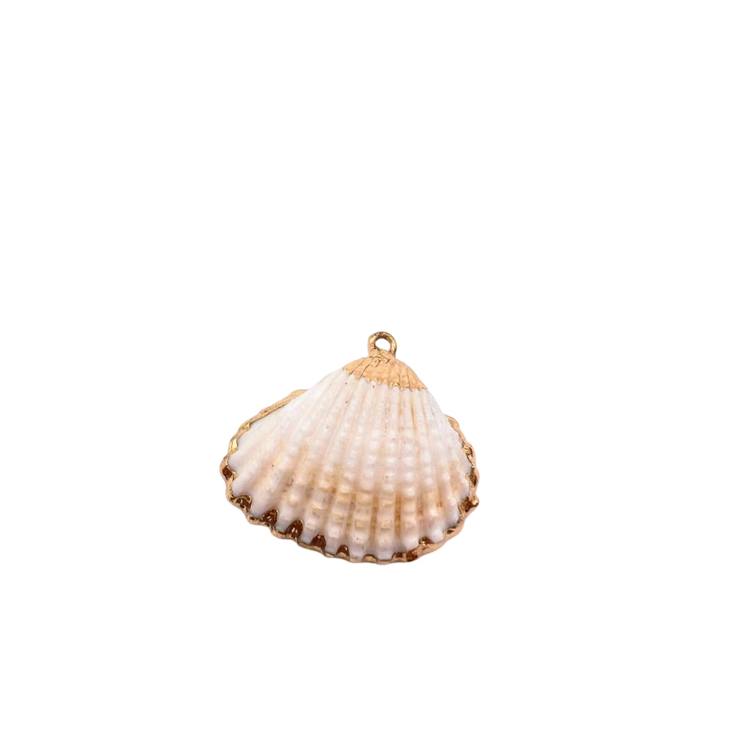 Shell pendant on a light pink background