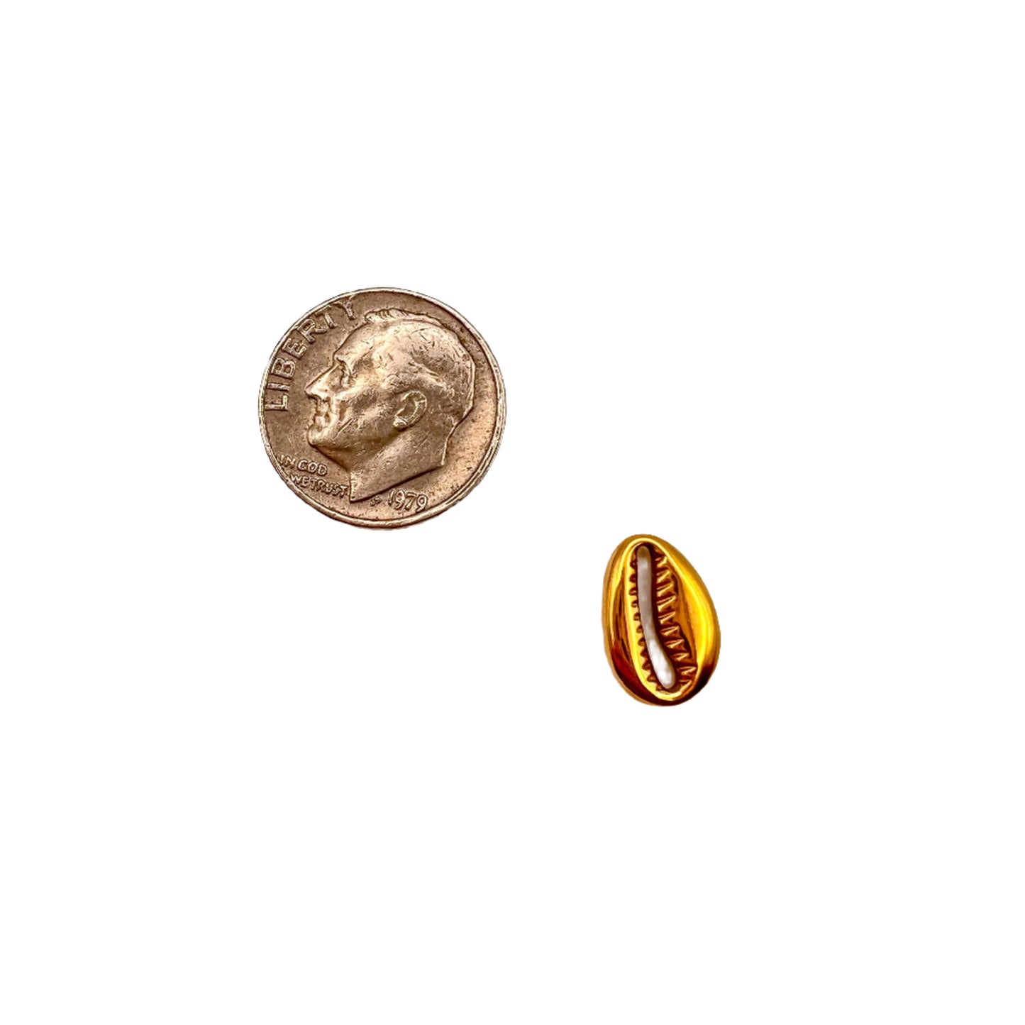 Gold coin and gold shell on a white background