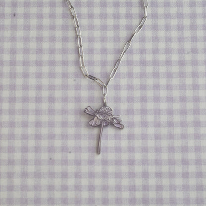 Loves Me, Loves Me Not