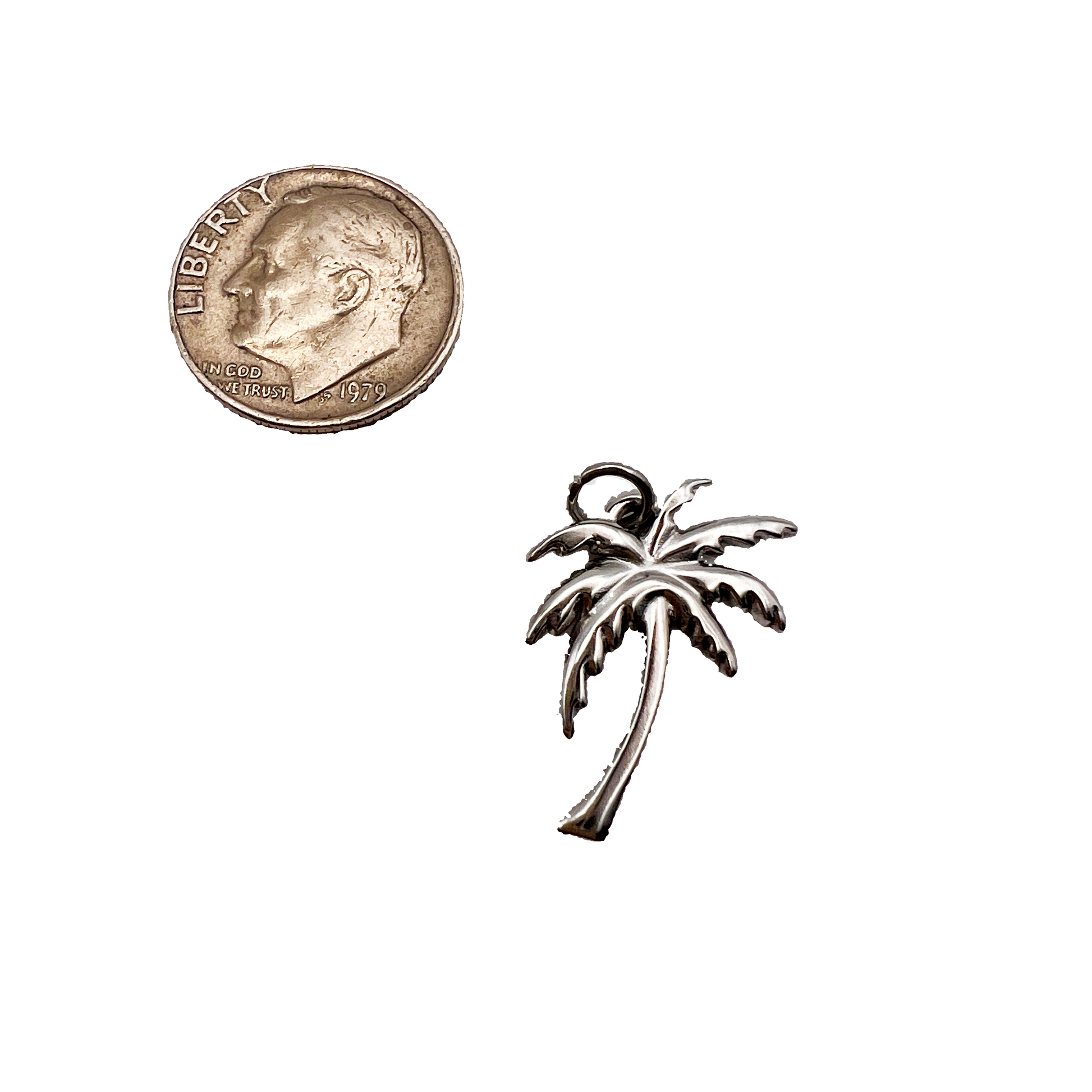 Silver palm tree-shaped object next to a coin on a light gray background